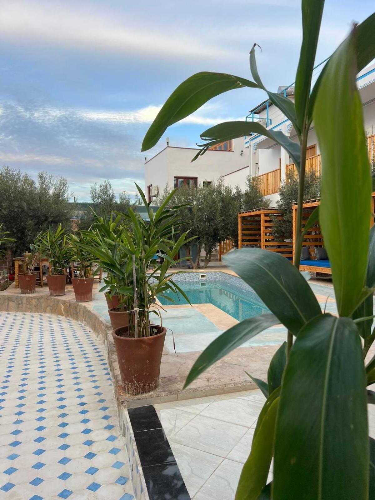 Single Fin Taghazout Surf & Stay Exterior foto
