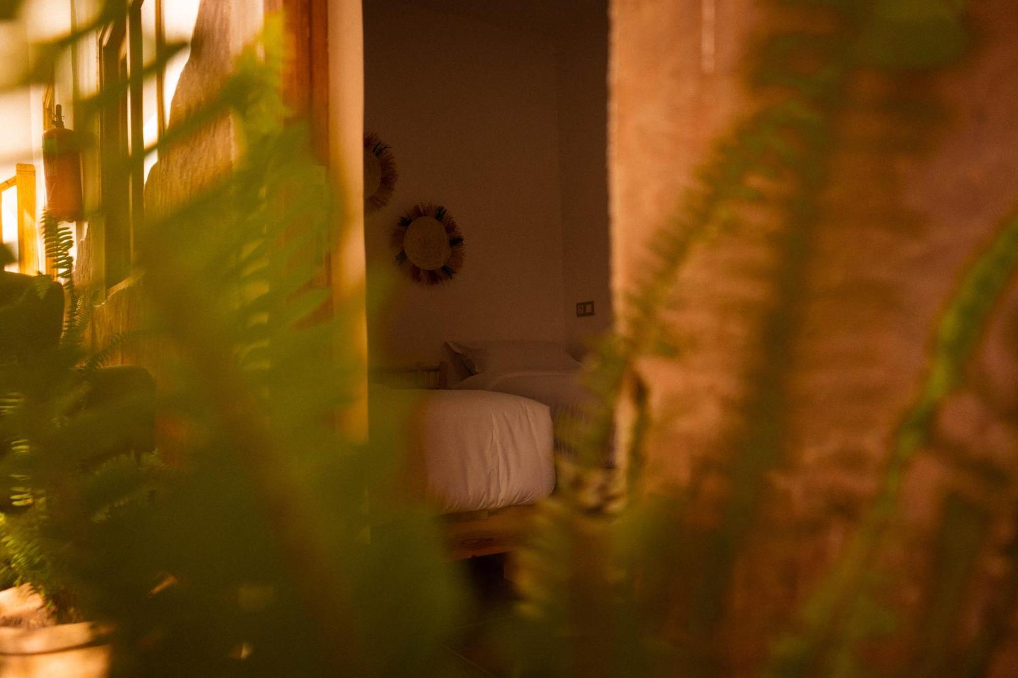 Single Fin Taghazout Surf & Stay Exterior foto