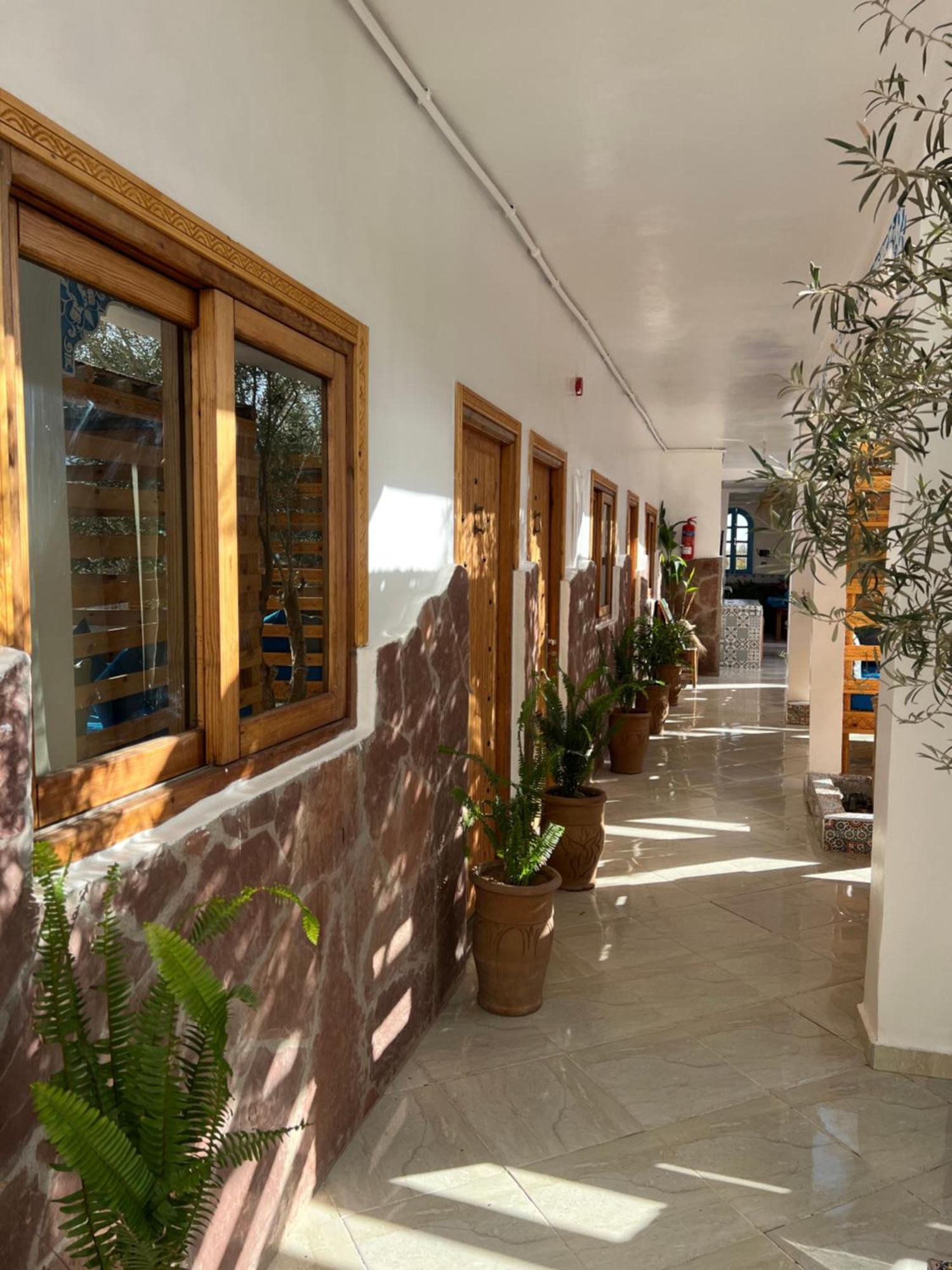 Single Fin Taghazout Surf & Stay Exterior foto